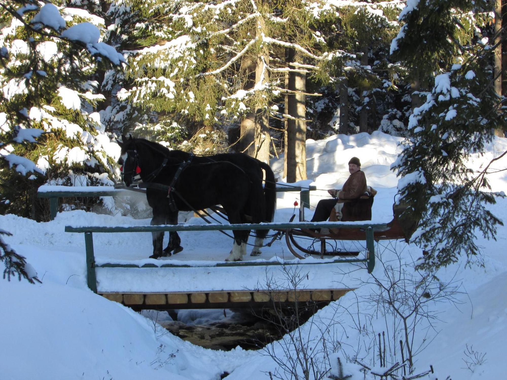 Koliba Ski Gruniky Sihelné Exterior foto